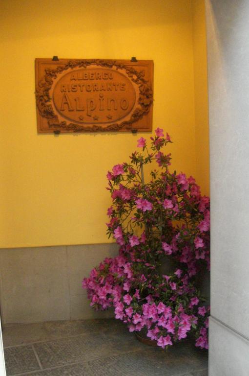 Hotel Alpino Barga Exterior foto